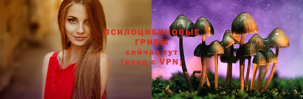 a pvp Балабаново
