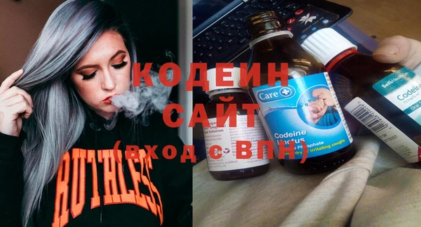 индика Белокуриха