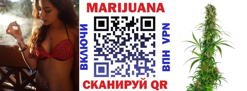 купить наркотики цена  kraken как зайти  Бошки марихуана гибрид  Чекалин 
